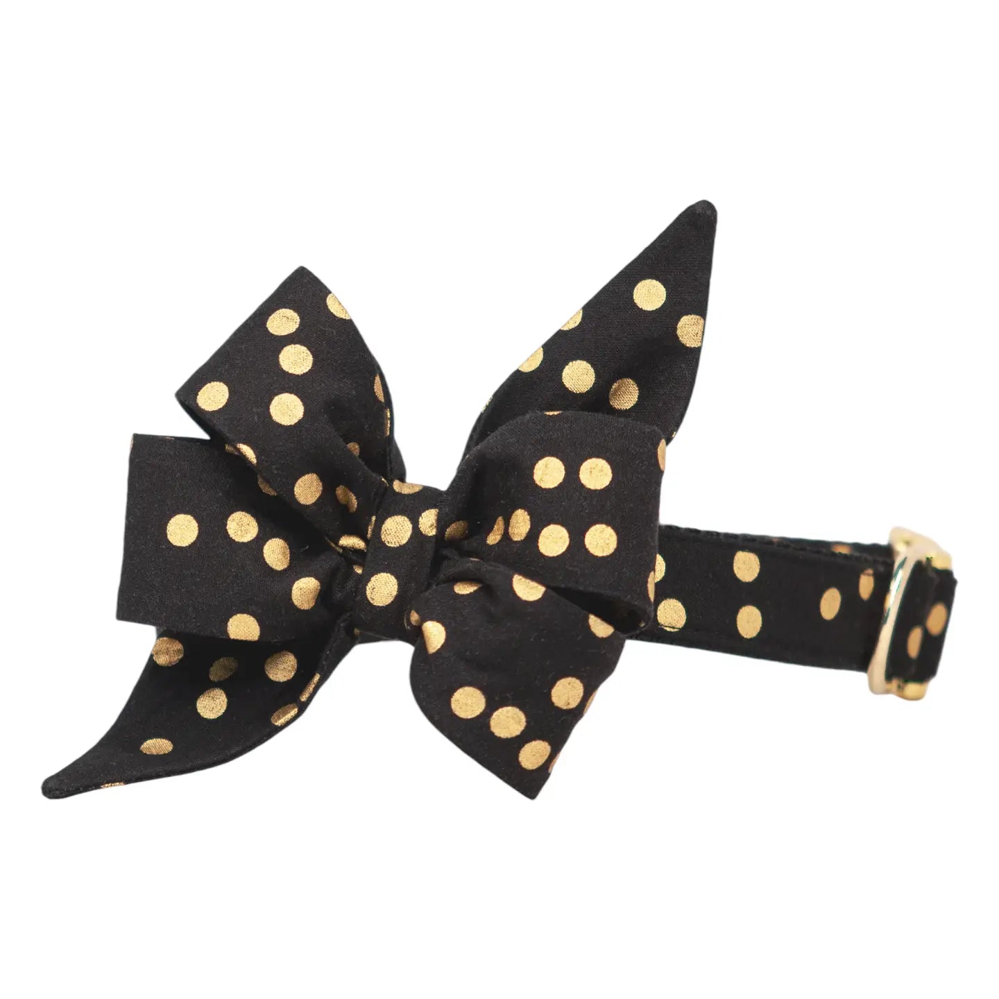 Black party dot Belle bow dog collar