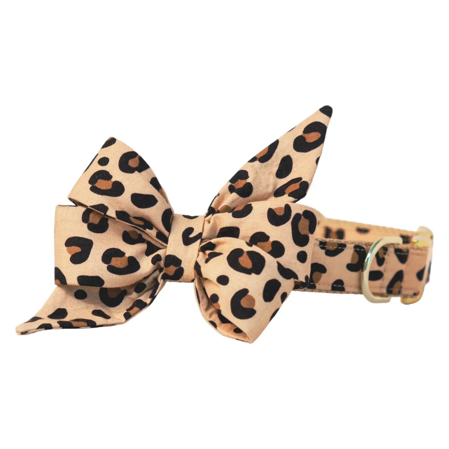 Party Animal Crew Lala collar