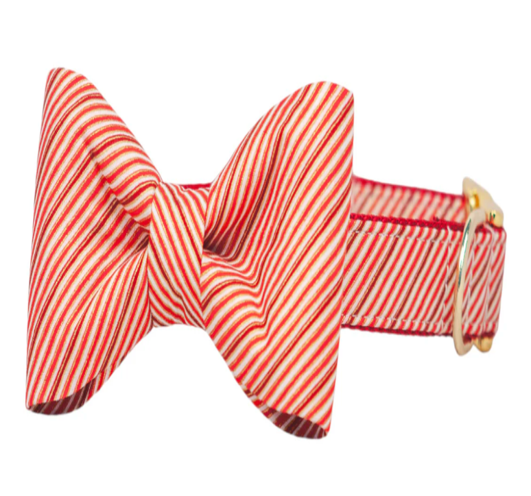 Cinnamon stripe bow tie dog collar
