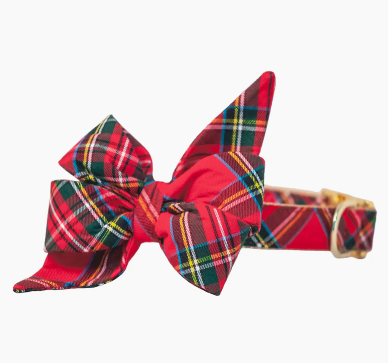 Scottish Tartan Belle bow dog  collar