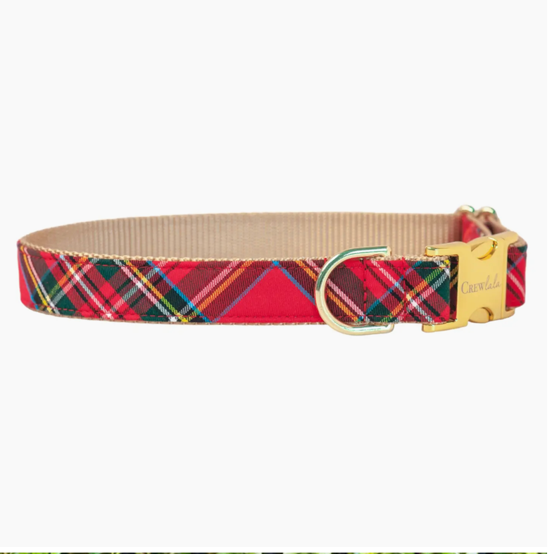 Scottish Tartan Belle bow dog  collar