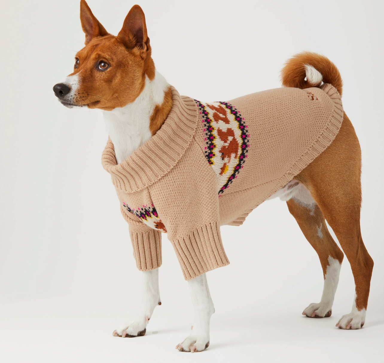 Squirrel Knit Jumper