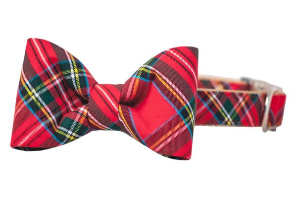 Scottish tartan bow tie  dog collar
