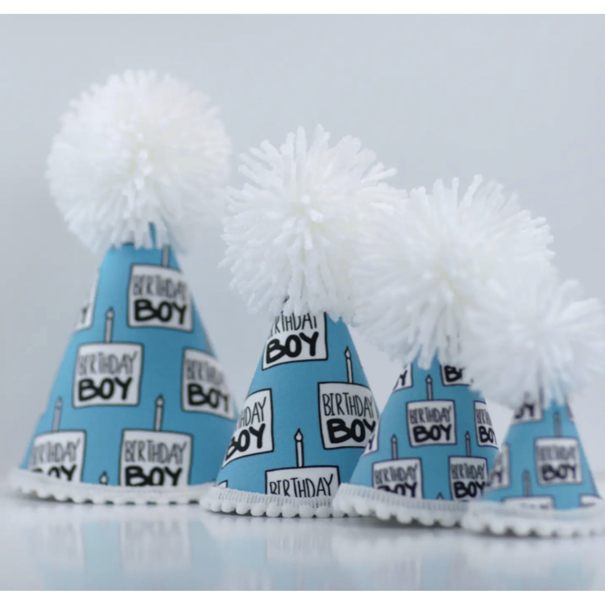 Birthday Boy Party Hat