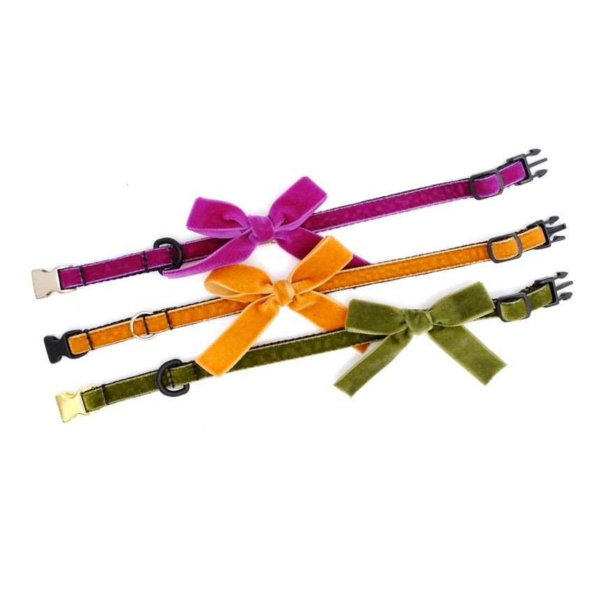 Velvet puppy collar set - Belle yellow