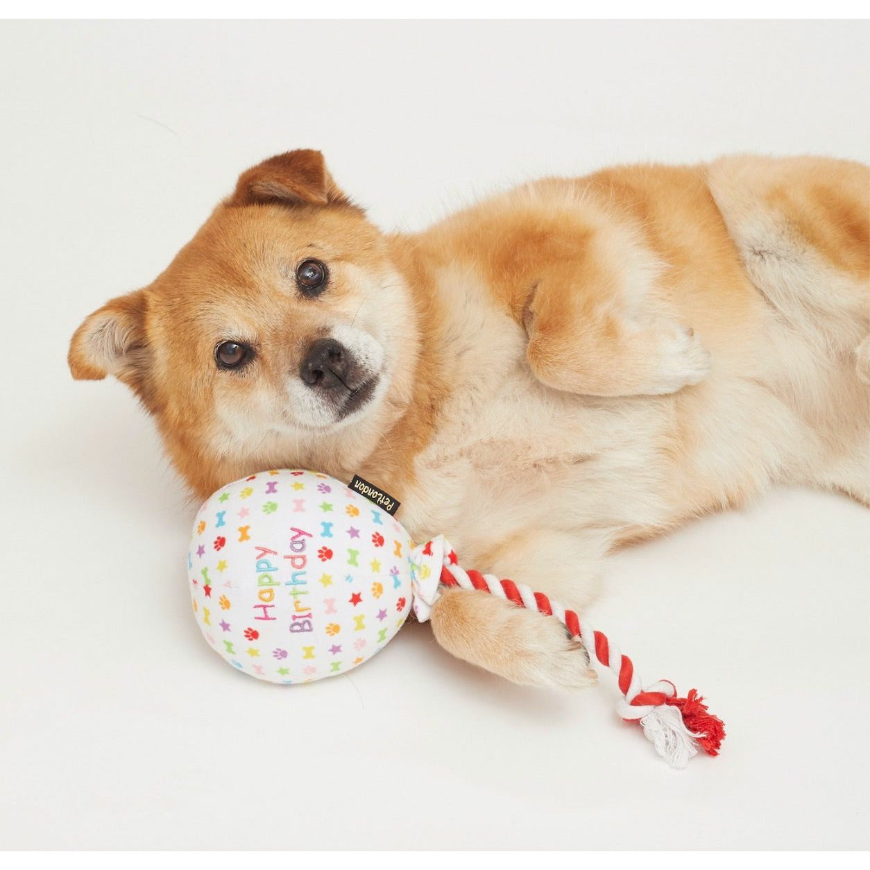 Birthday Balloon toy