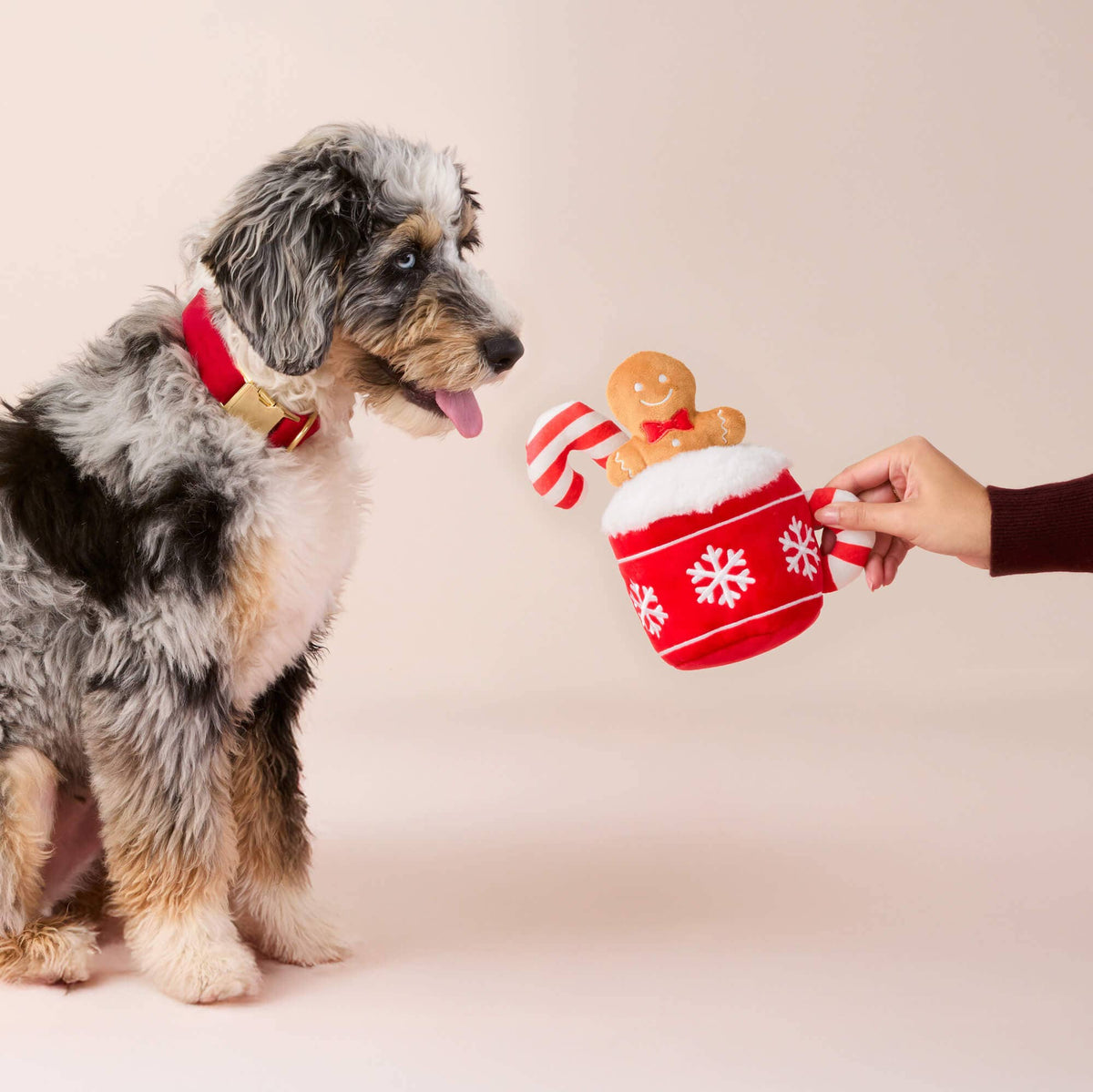 Christmas Toys