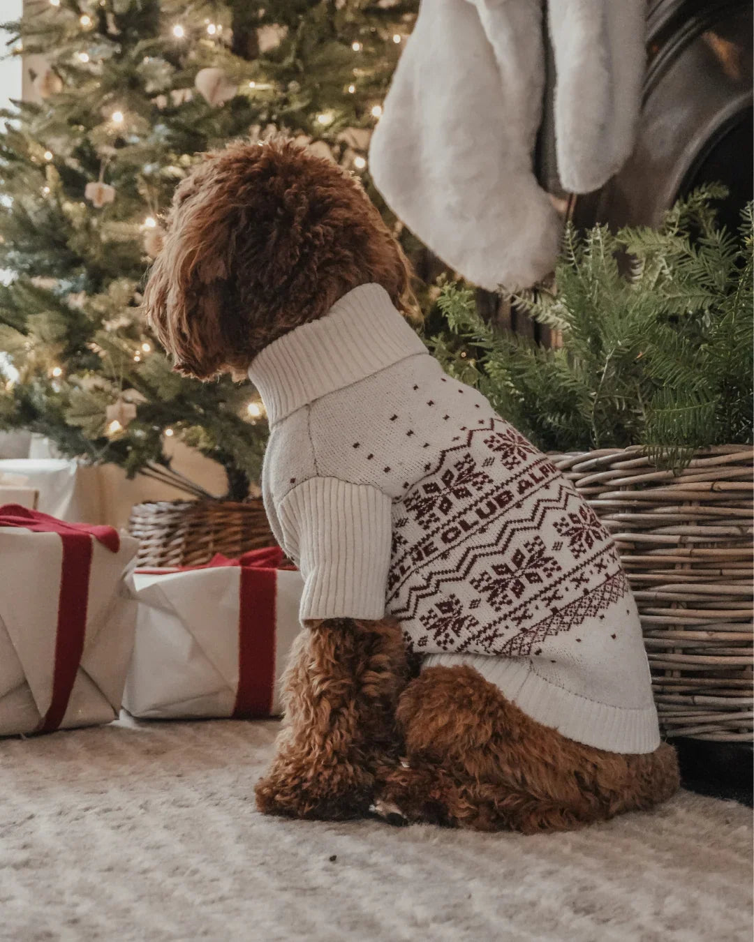 Christmas Jumpers