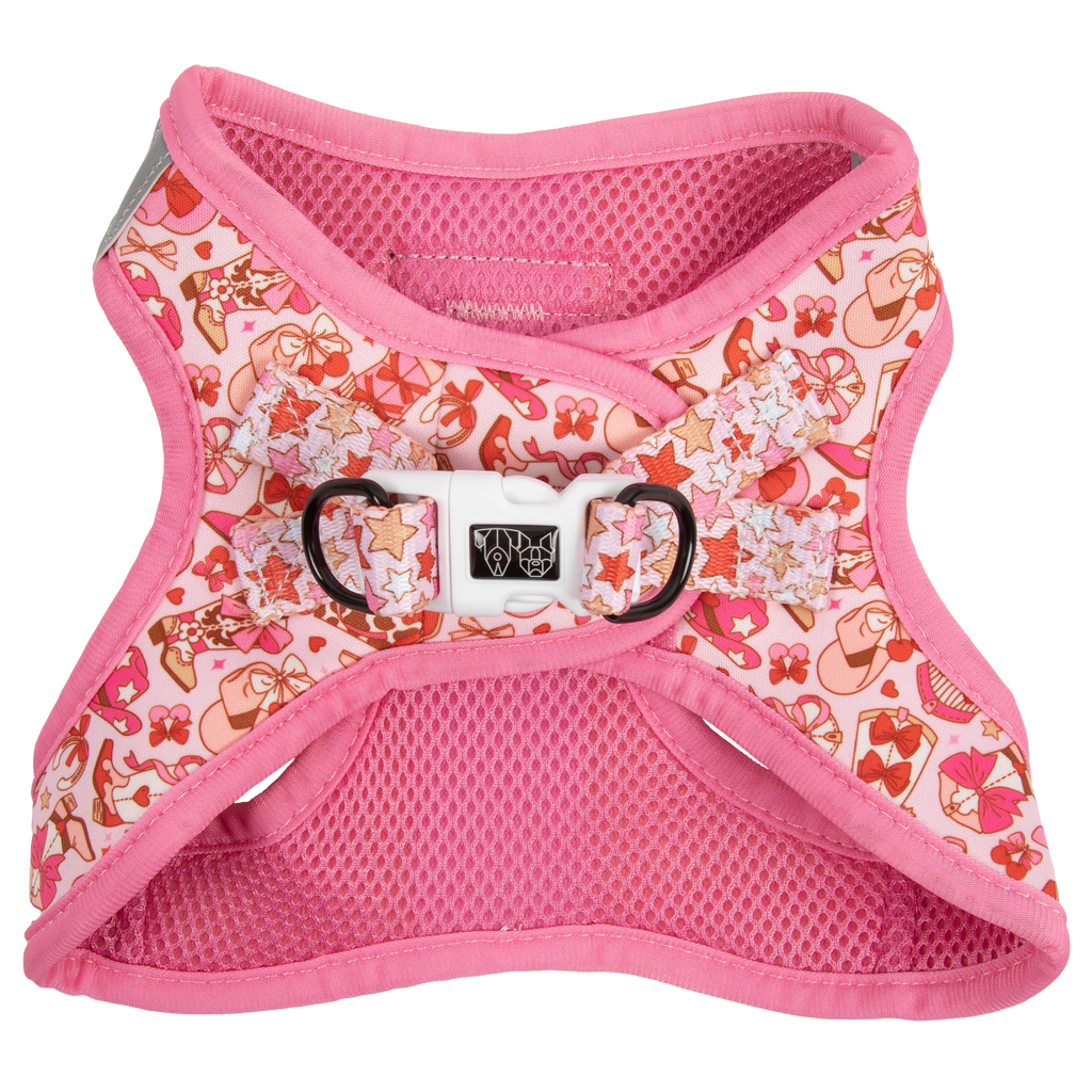 Rodeo Queen step-in dog harness