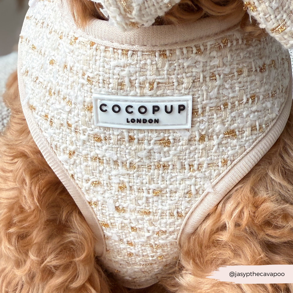 Vanilla Textured Tweed Adjustable Neck HARNESS