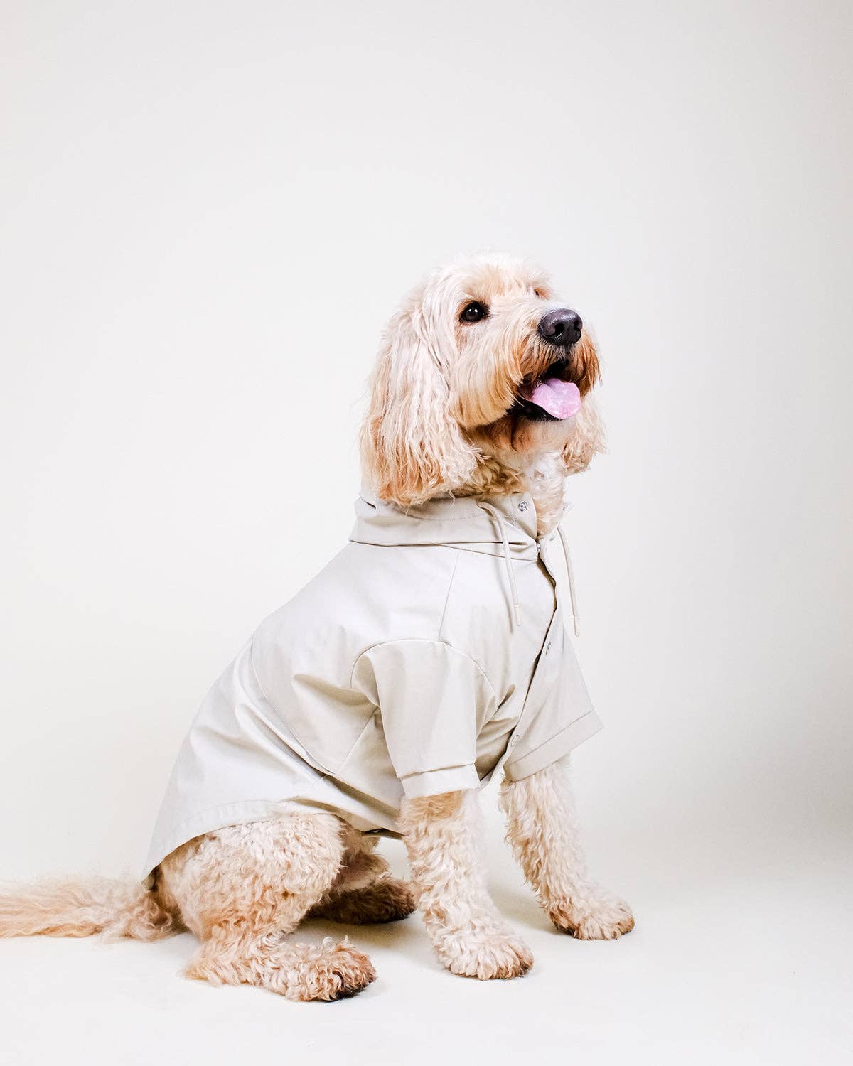 Stone Dog Raincoat