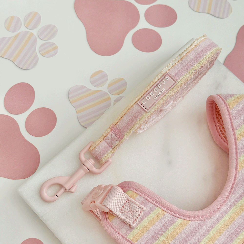 Pastel Stripes Dog Lead