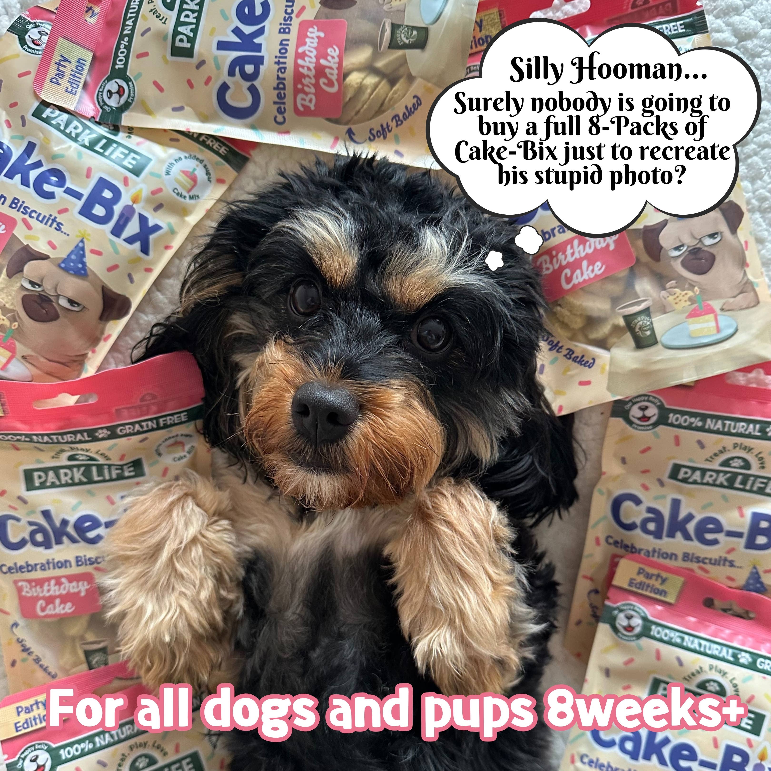 Cake-Bix Dog Biscuits Birthday Cake Flavour 100g