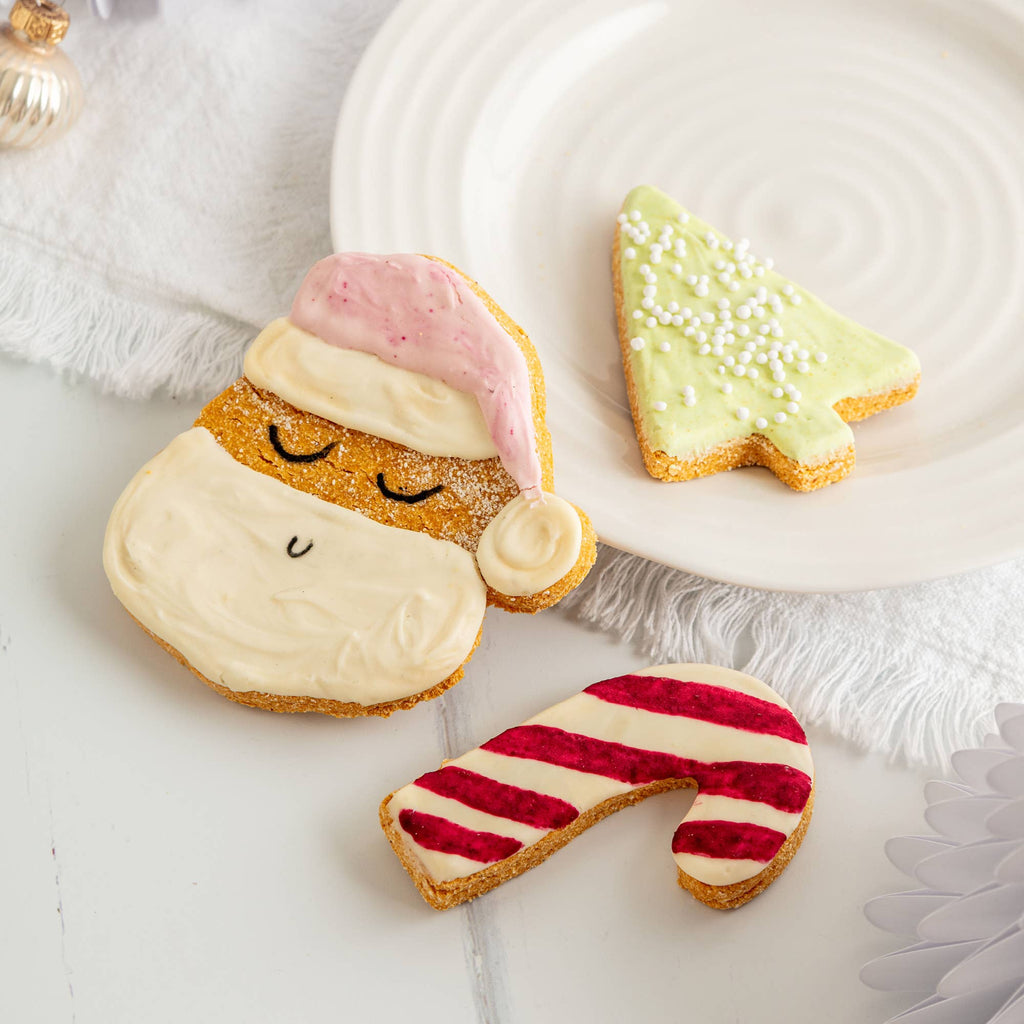 Christmas Iced Dog Biscuit Trio