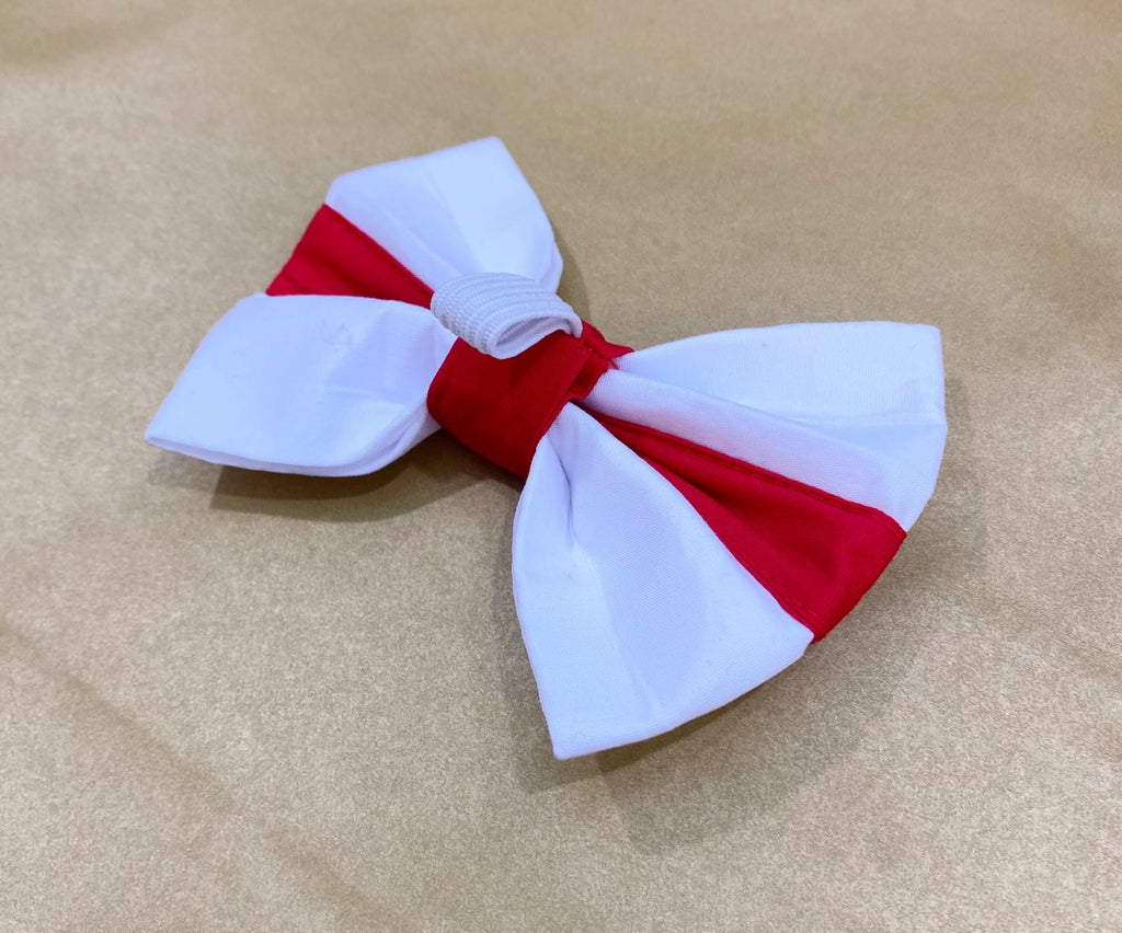 England Football dog bow tie