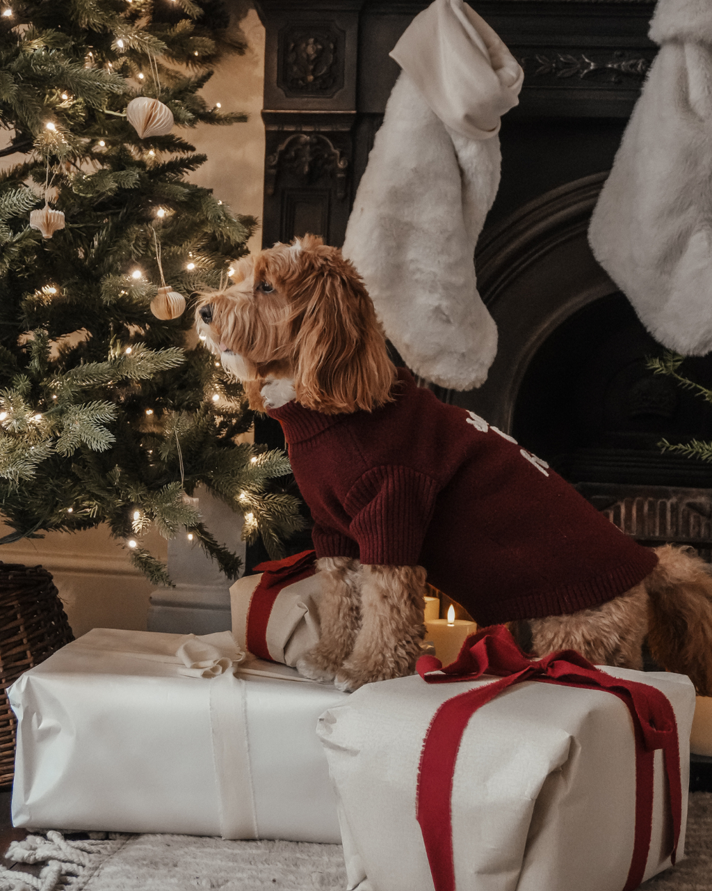 Santa's Little Helper | Roll Neck Knit Dog Jumper