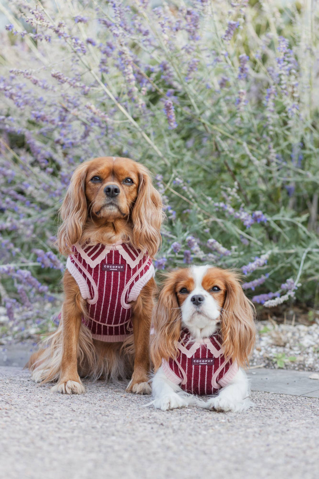 Knitted Cherry Bakewell Adjustable Neck HARNESS
