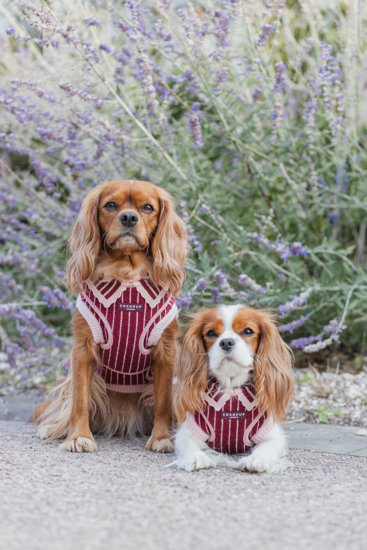 Knitted Cherry Bakewell Adjustable Neck HARNESS