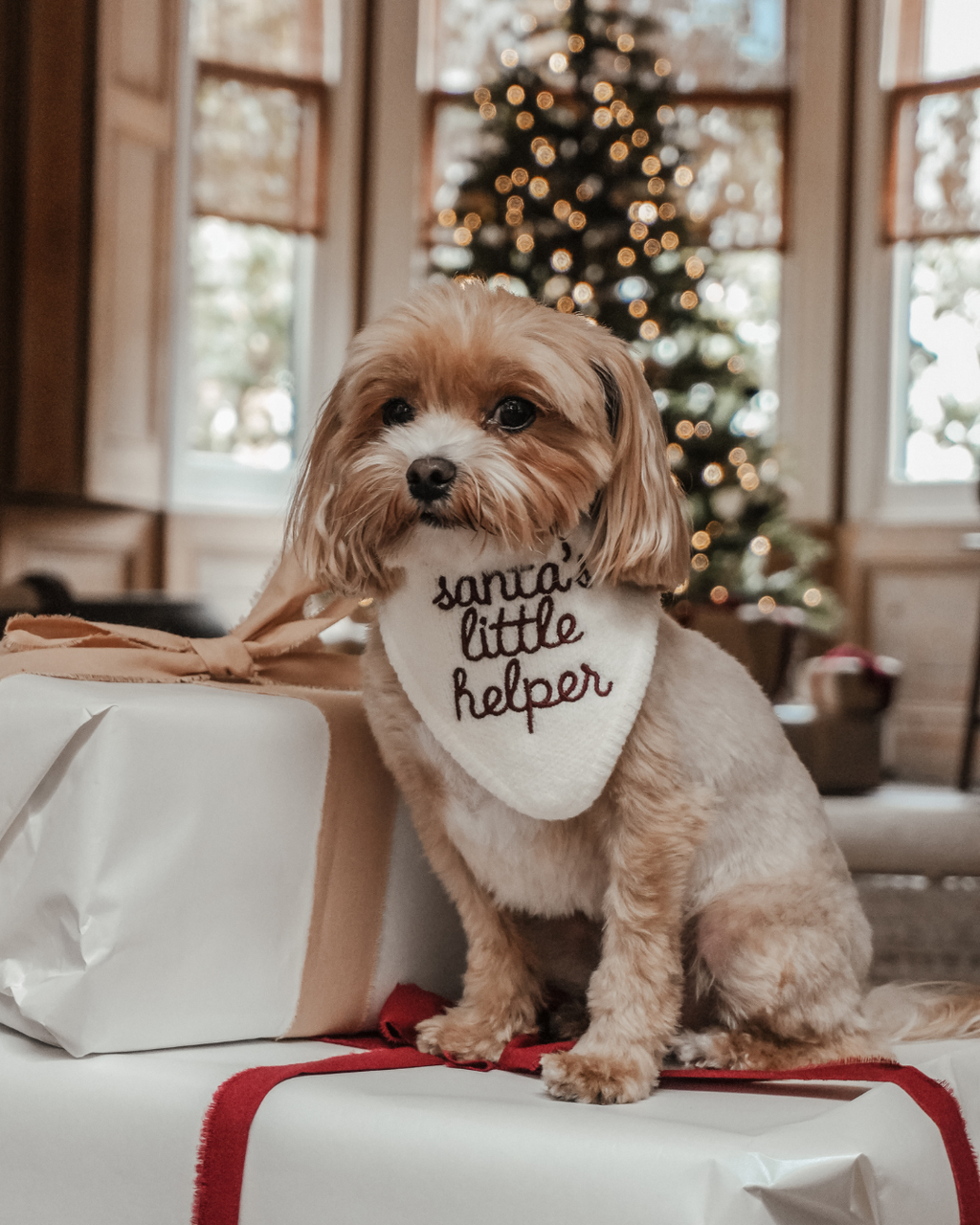 Santa's Little Helper | Knitted Bandana