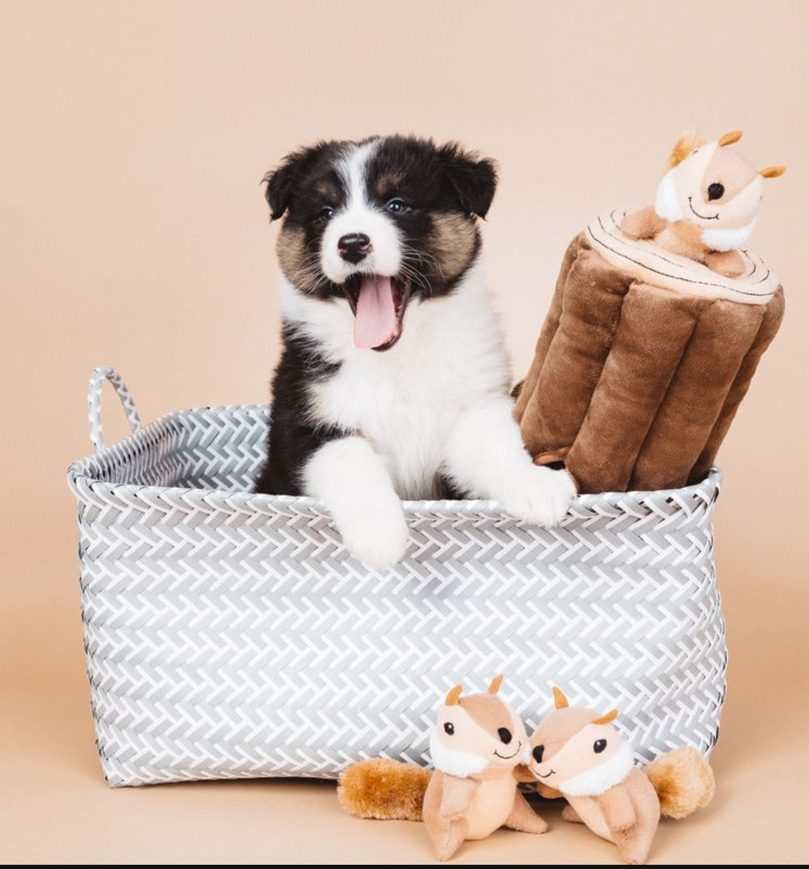 Zippy Burrow - Burrow Log with 3 Chipmunks - Dog Toy