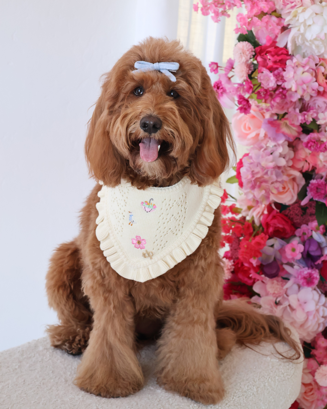 SPRING DOG BANDANA | HONEYBELL