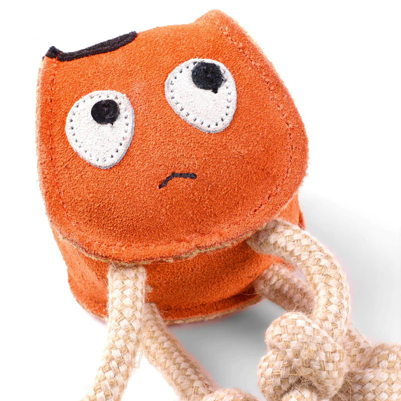 Sid the squid
