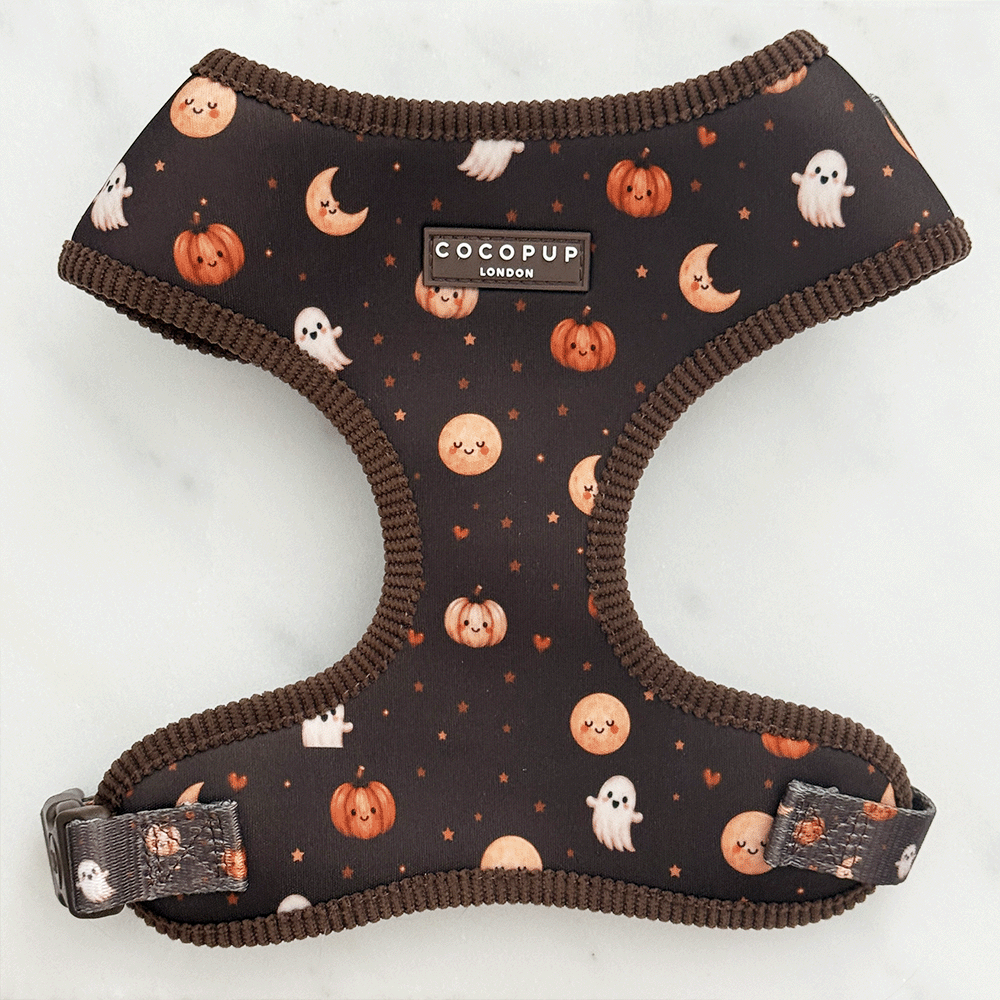 Boo Crew Adjustable Neck HARNESS
