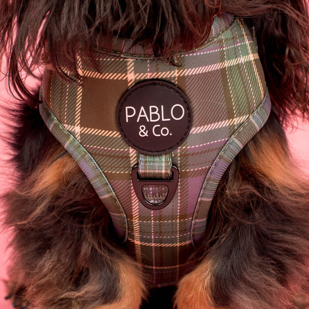 Green Plaid Adjustable Dog Harness