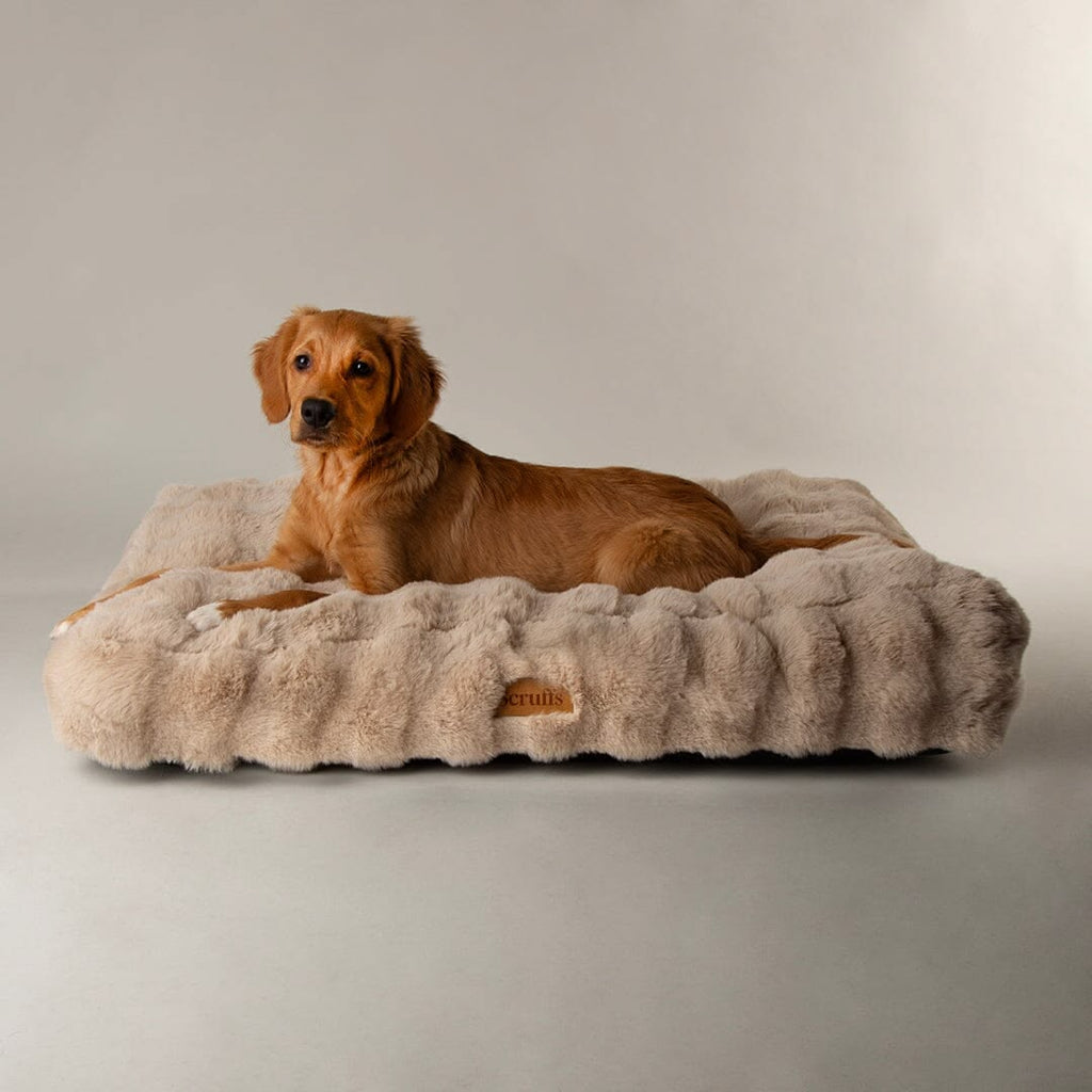 Scruffs Champagne Alpine Dog Mattress Bed
