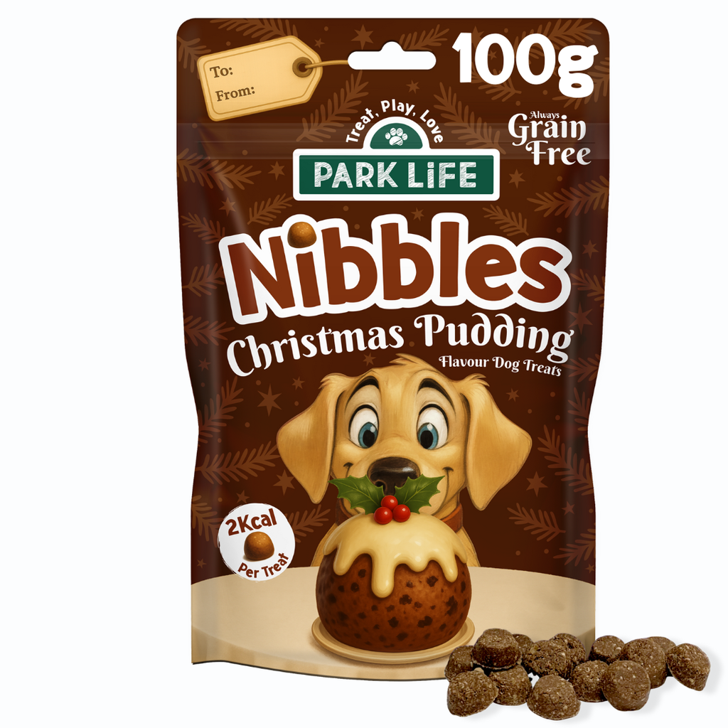 Nibbles Christmas Pudding 100g 10 PACK
