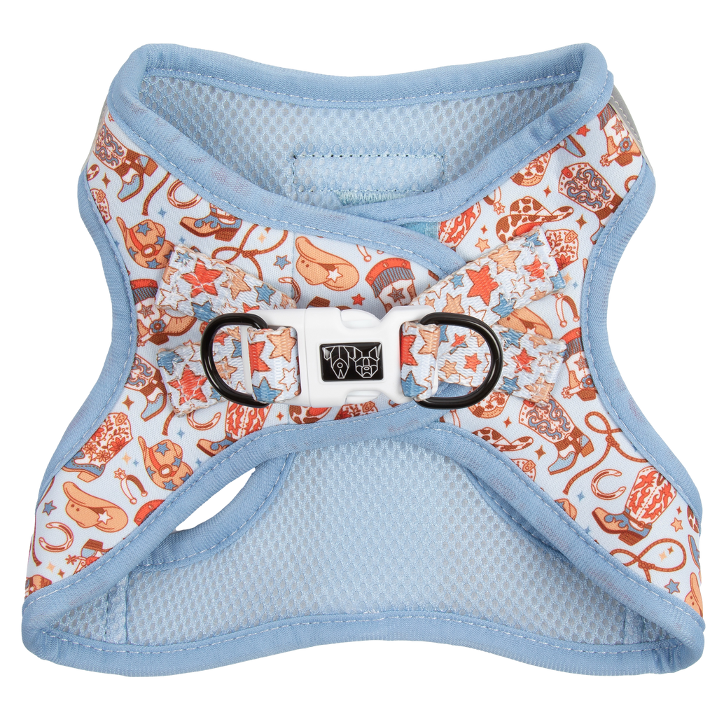 Rodeo King step-in dog harness