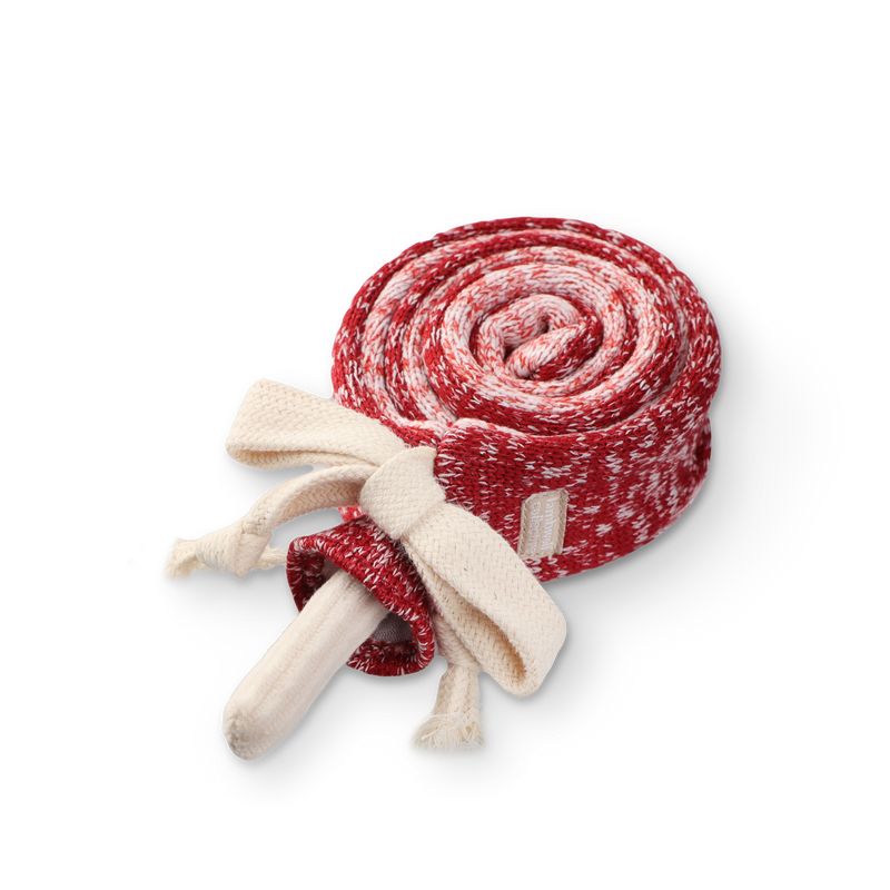 Salami lollipop enrichment dog toy