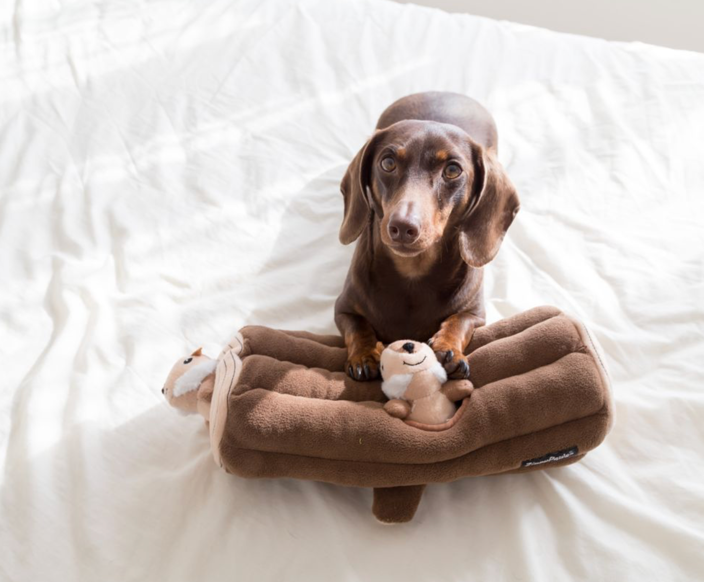 Zippy Burrow - Burrow Log with 3 Chipmunks - Dog Toy