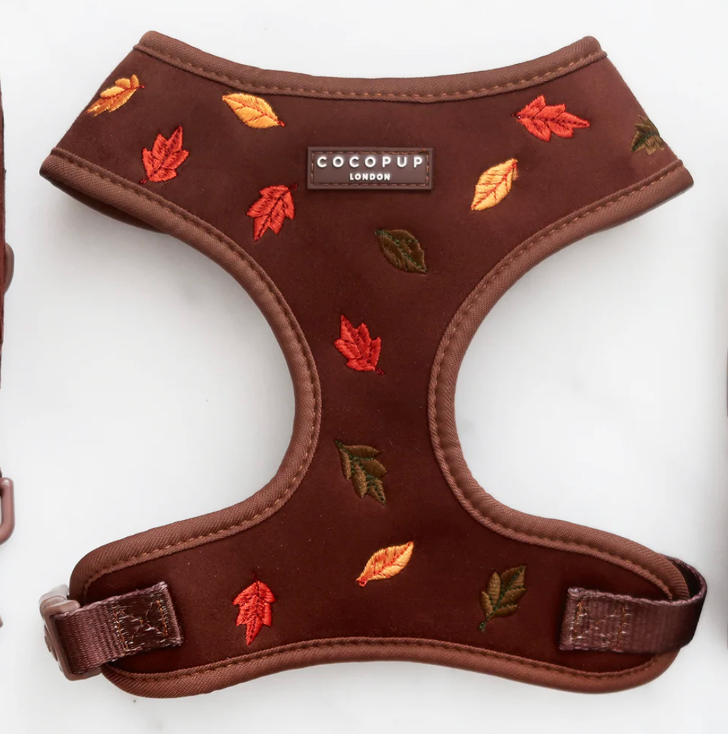 Pawtumn Leaves Adjustable Neck HARNESS