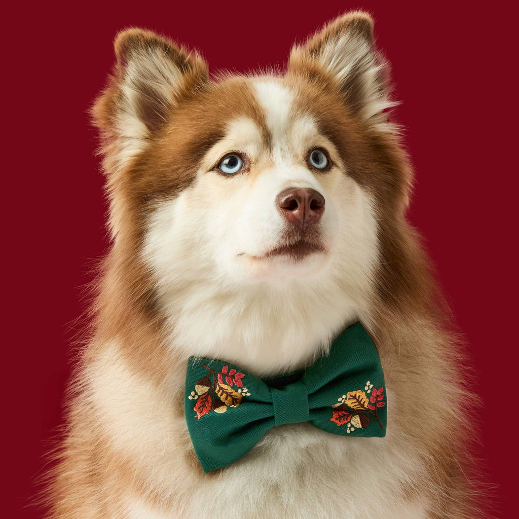 Fall Foliage Embroidered Dog Bow Tie