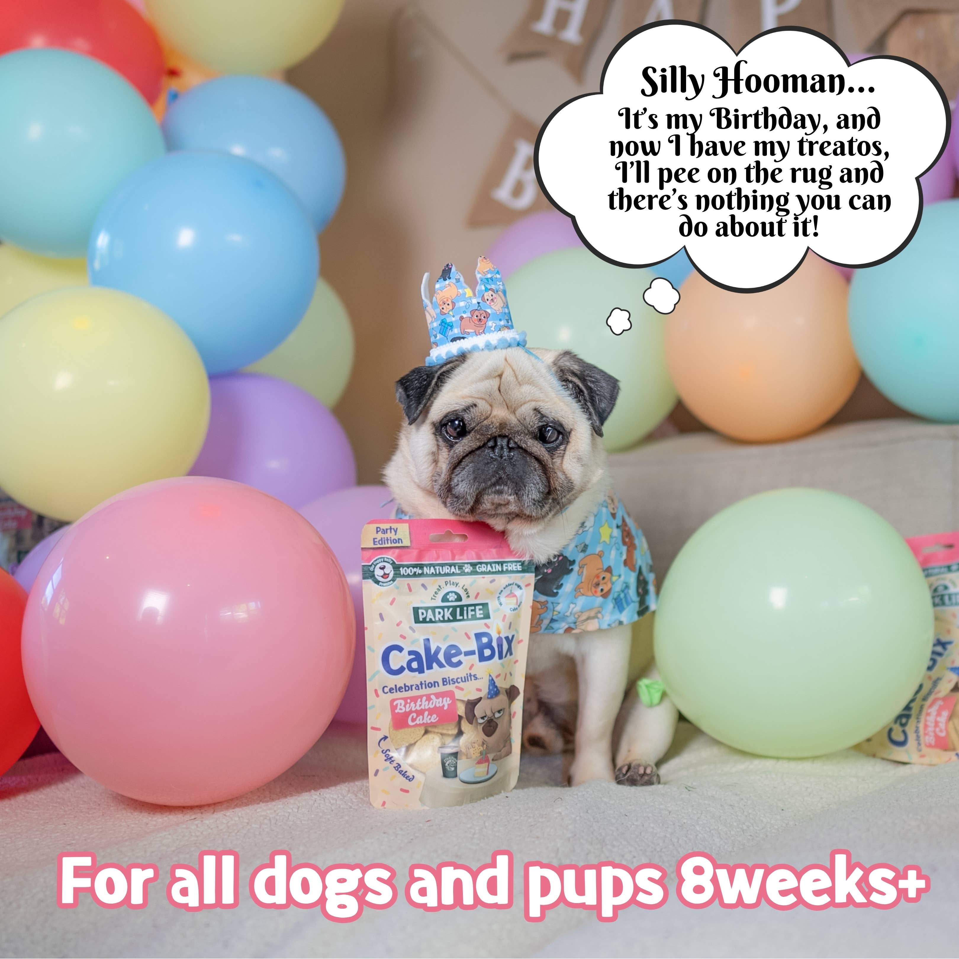 Cake-Bix Dog Biscuits Birthday Cake Flavour 100g