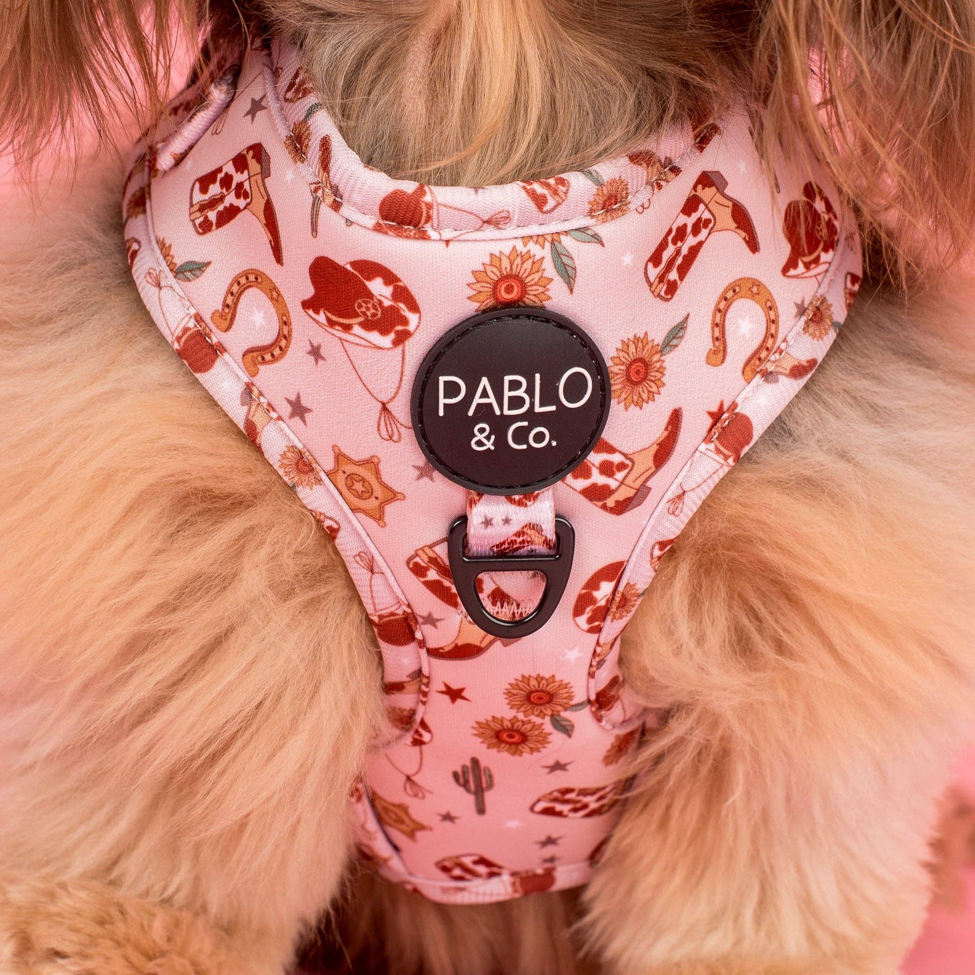 Howdy Adjustable Dog Harness