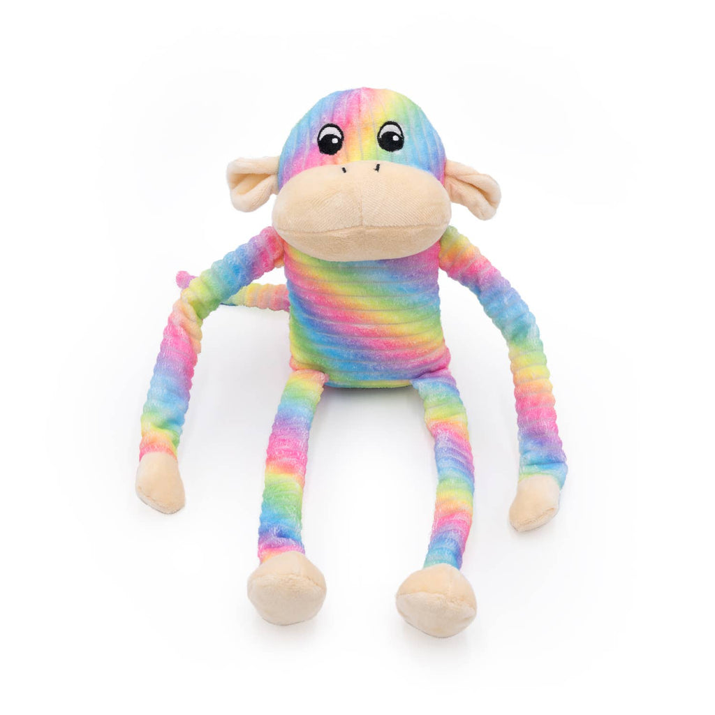 Spencer the Crinkle Monkey - Large Rainbow Dog Toy