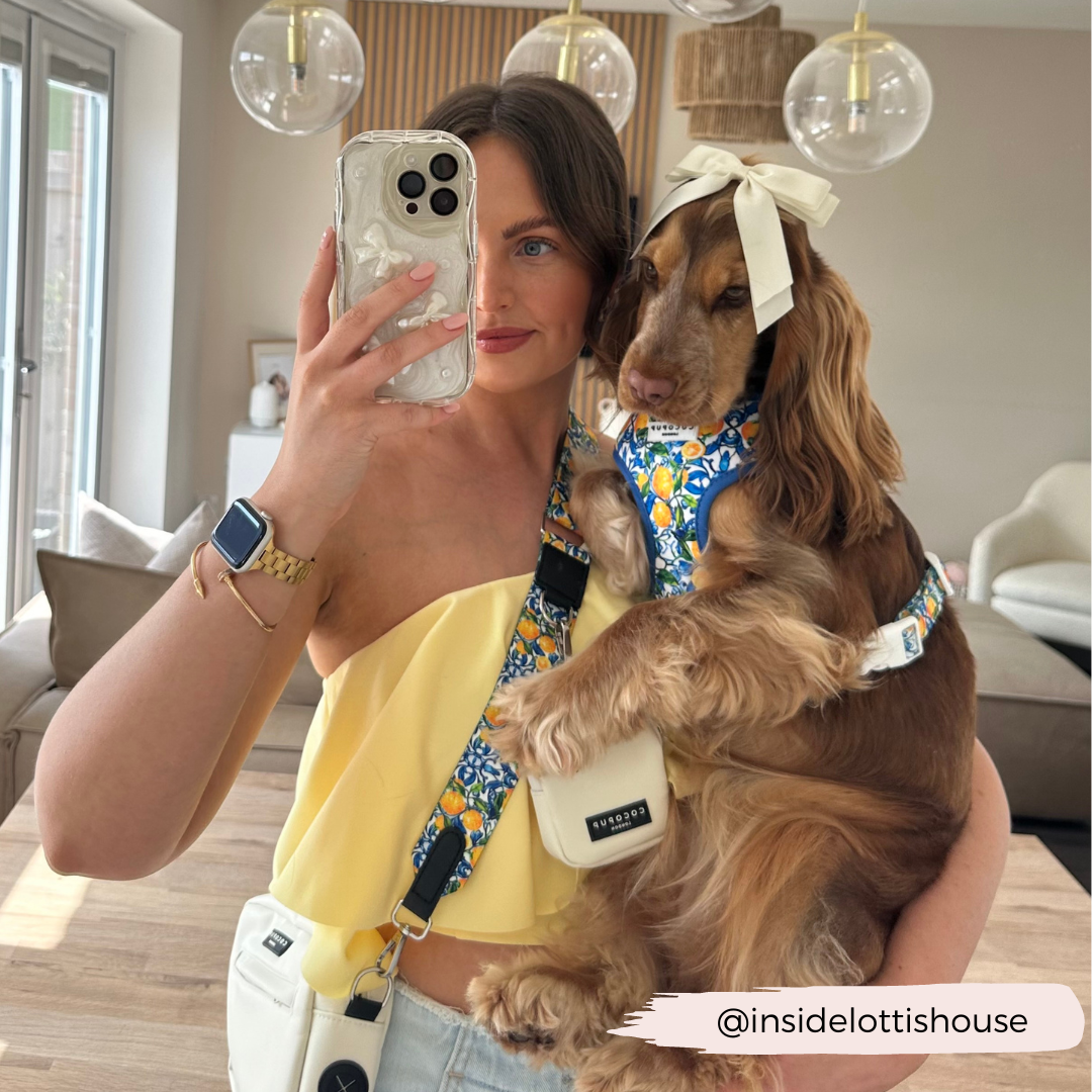 Amalfi Lemon Adjustable Neck HARNESS