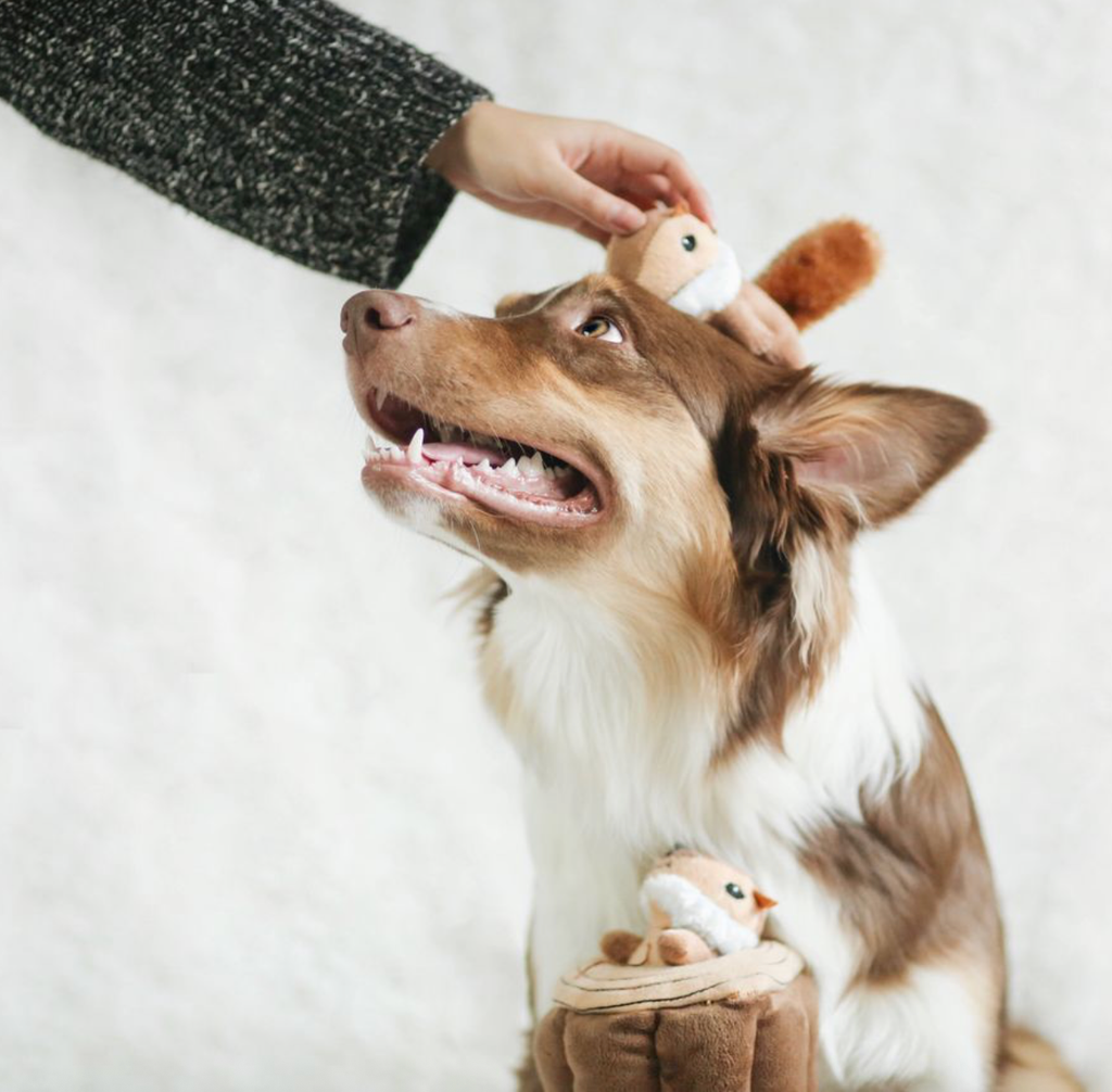 Zippy Burrow - Burrow Log with 3 Chipmunks - Dog Toy