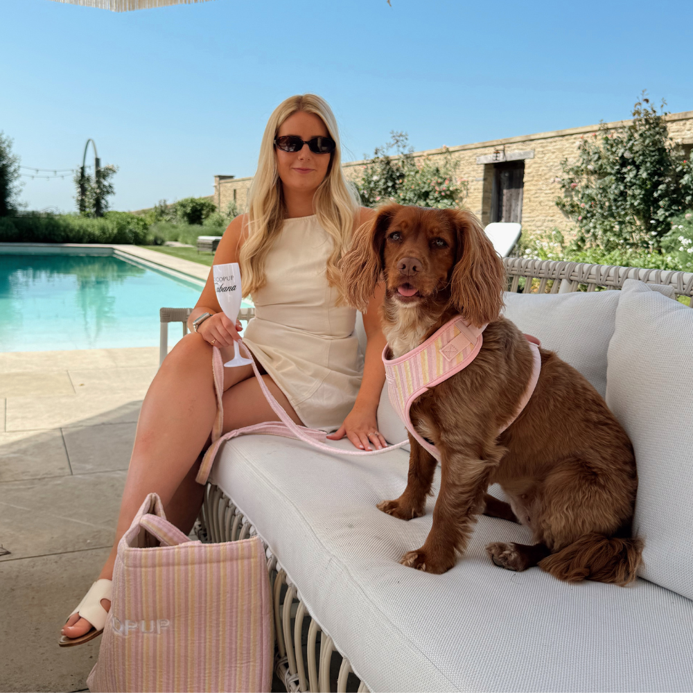 Pastel Stripes Adjustable Neck HARNESS for Dogs