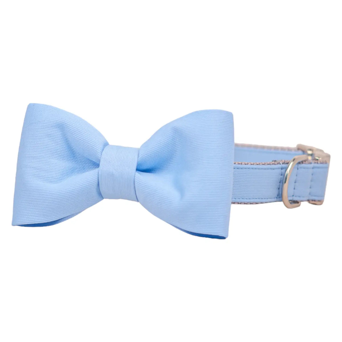 Cornflower bow tie dog collar