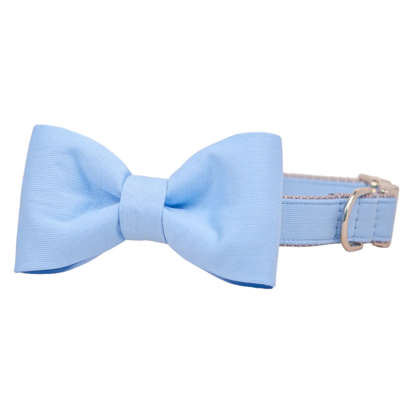 Cornflower bow tie dog collar