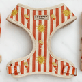 Sunshine & Spritz Adjustable Neck HARNESS