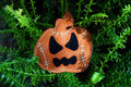 Halloween Jack the Lad Pumpkin Eco Dog Toy