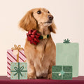 Red Gift Bow Dog Collar Attachment