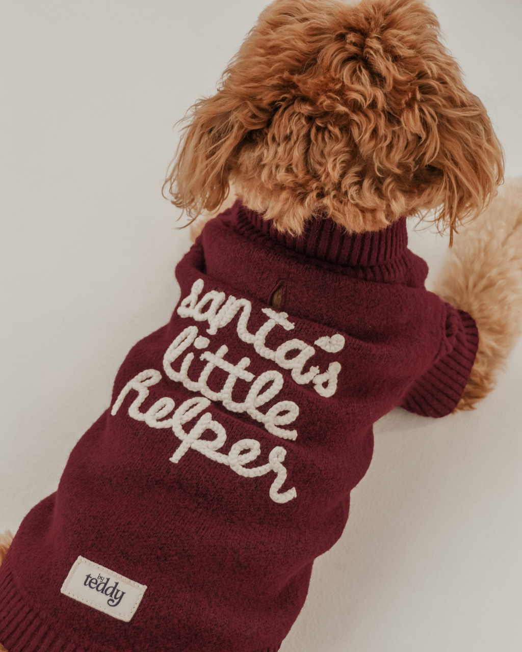 Santa's Little Helper | Roll Neck Knit Dog Jumper