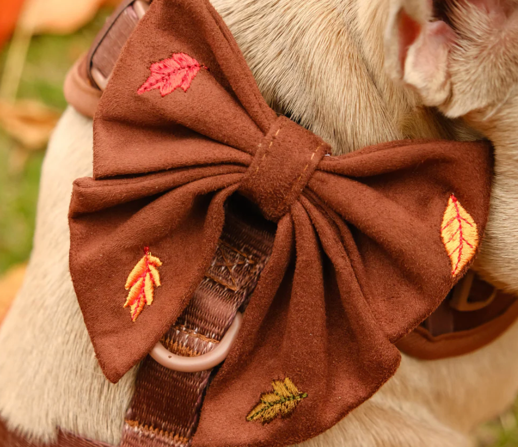 Pawtumn Leaves Sailor Bow Tie
