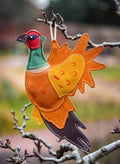 Bracken the Pheasant Eco Dog Toy