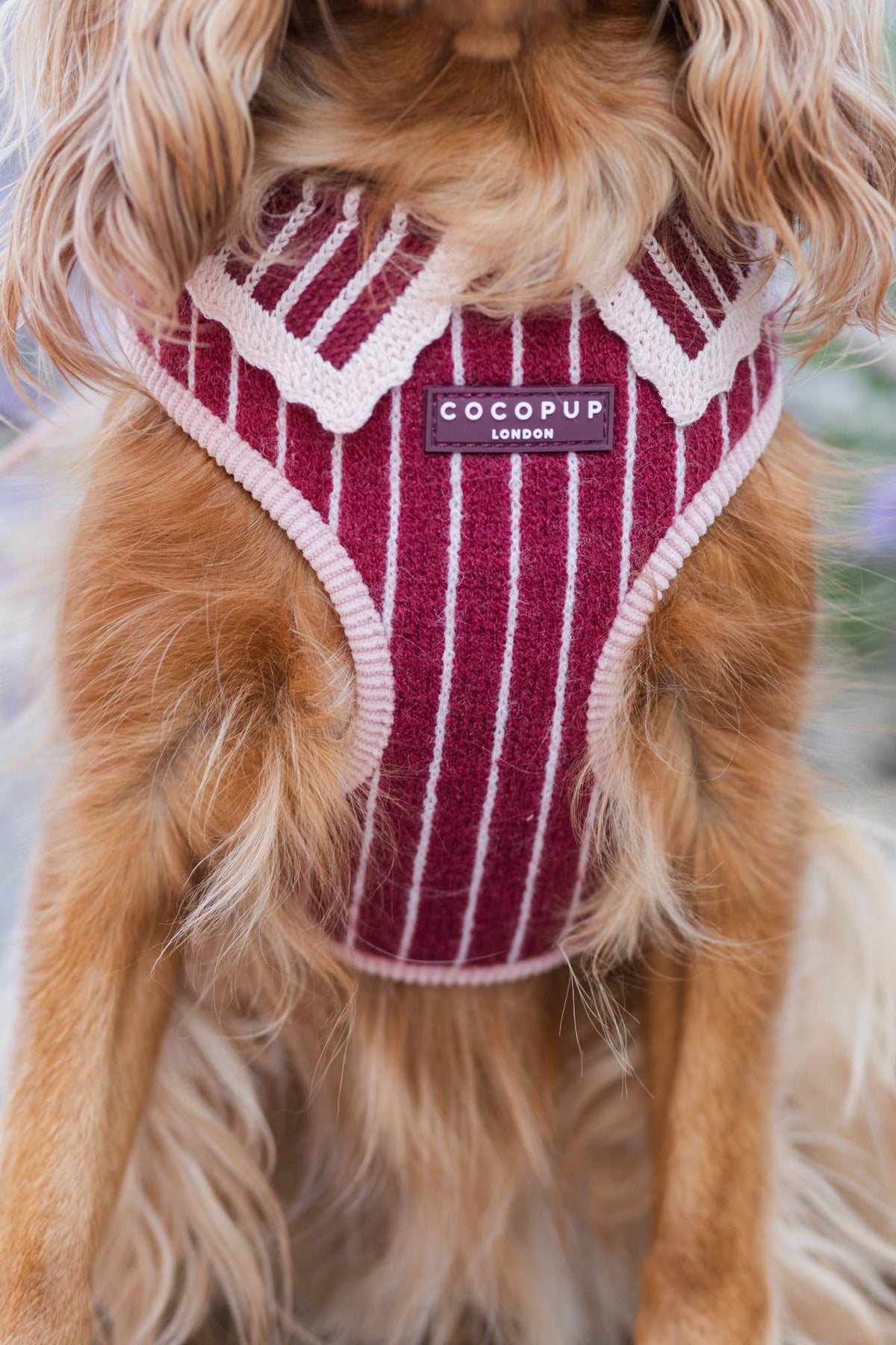 Knitted Cherry Bakewell Adjustable Neck HARNESS